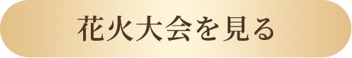 花火大会を見る