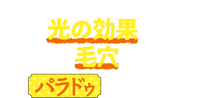光の効果でとことん毛穴を飛ばすパラドゥに軍配！