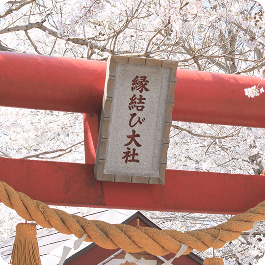 えんむすびのご利益で人気の神社