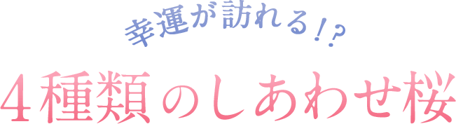 4種類のしあわせ桜