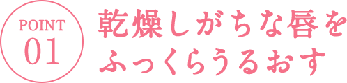 乾燥しがちな唇をふっくらうるおす