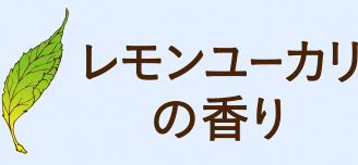 レモンユーカリ 含有成分メンタンジオール