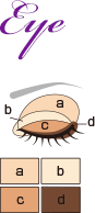 Eye